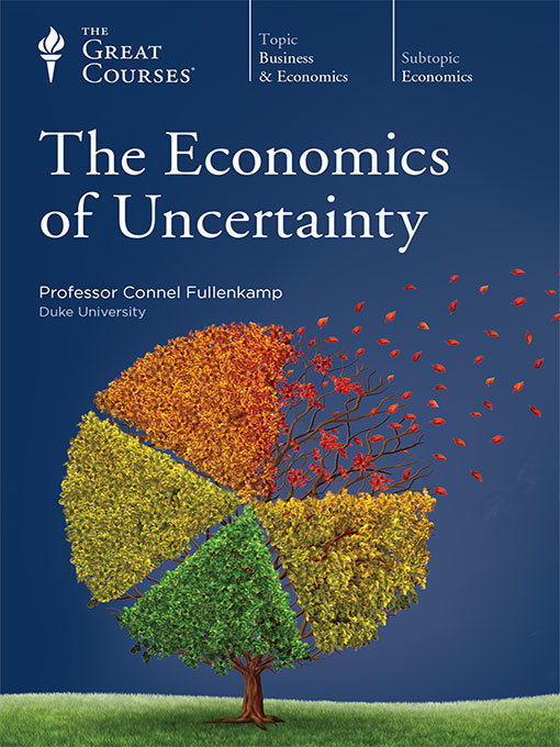 Title details for The Economics of Uncertainty by Connel Fullenkamp - Wait list